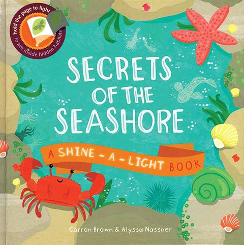 Shine-A-Light: Secrets of the Seashore Book - EDC Publishing