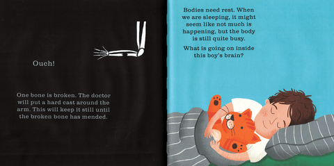 Shine-A-Light: The Human Body Book - EDC Publishing