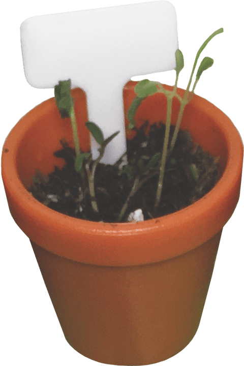 Tiny Gardening Kit - Smart Lab Toys