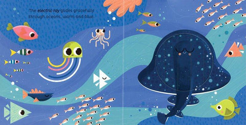 Animal Magic: In the Ocean Book - EDC Publishing