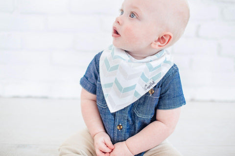 Baby Bandana Bibs - Archer - Copper Pearl