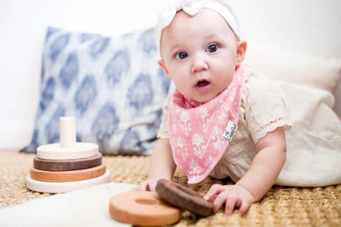 Baby Bandana Bibs - Claire - Butterbugboutique