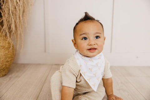 Baby Bandana Bibs - Haven - Copper Pearl