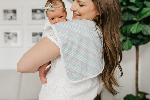 Burp Cloth Set - Whimsy - Copper Pearl